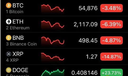 狗币收获了很多财富,但你不知道它是什么1 狗币收获了很多财富,但你不知道它是什么1