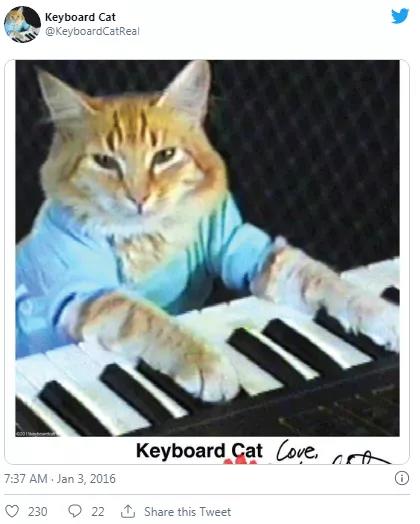 总有一个模因可以定义你的“NFT生活”5