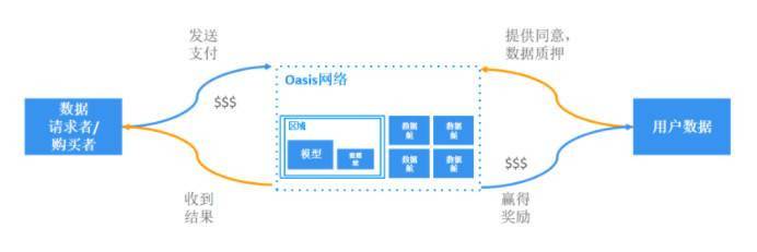 隐私技术网络 Oasis 新进展：主网完成 Cobalt 升级， Parcel SDK 上线5