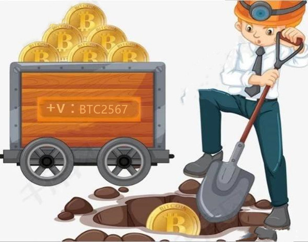 比特币价格跌破5万美元：31万人爆仓、什么原因让主流币纷纷暴跌？