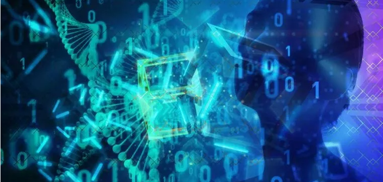 回归比特币的本质：它的价值不仅仅是价格