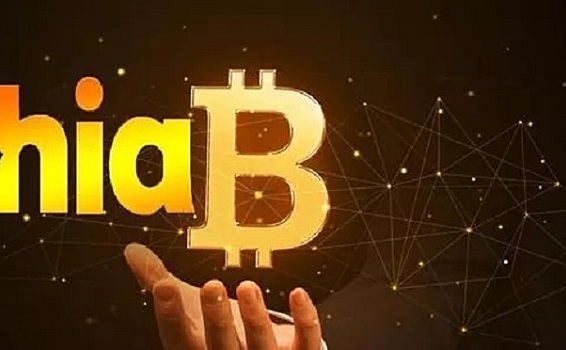 Chia挖矿XCH 问&答