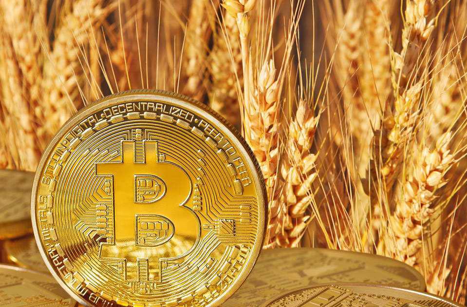 5.1-比特币牛市回归70000见，以太坊突破遇阻稍作休整