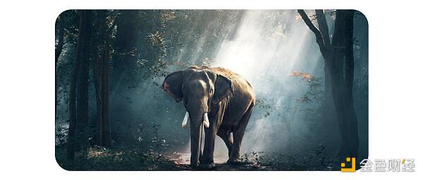 海外资深玩家投资建议