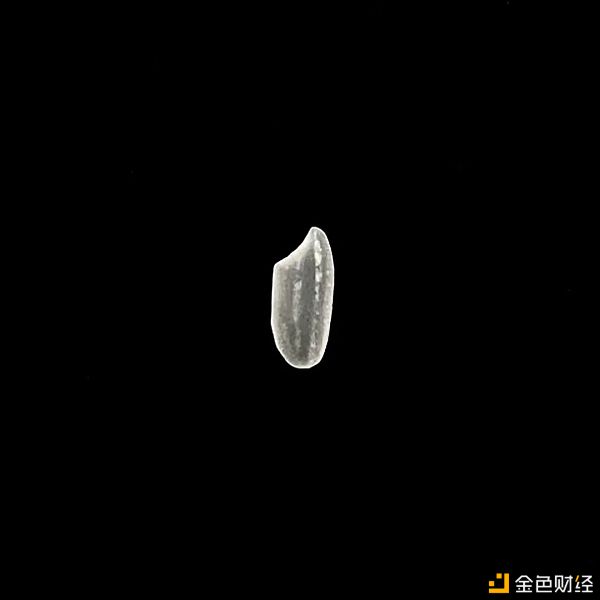 CryptoVoxels上的虚拟世界漫游者11 CryptoVoxels上的虚拟世界漫游者11