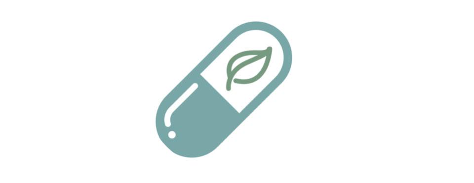 刚刚在主网络上推出的dfinity生态是什么?3 刚刚在主网络上推出的dfinity生态是什么?3