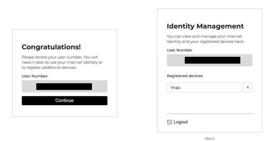 三分钟入门 DFINITY 钱包与治理软件3