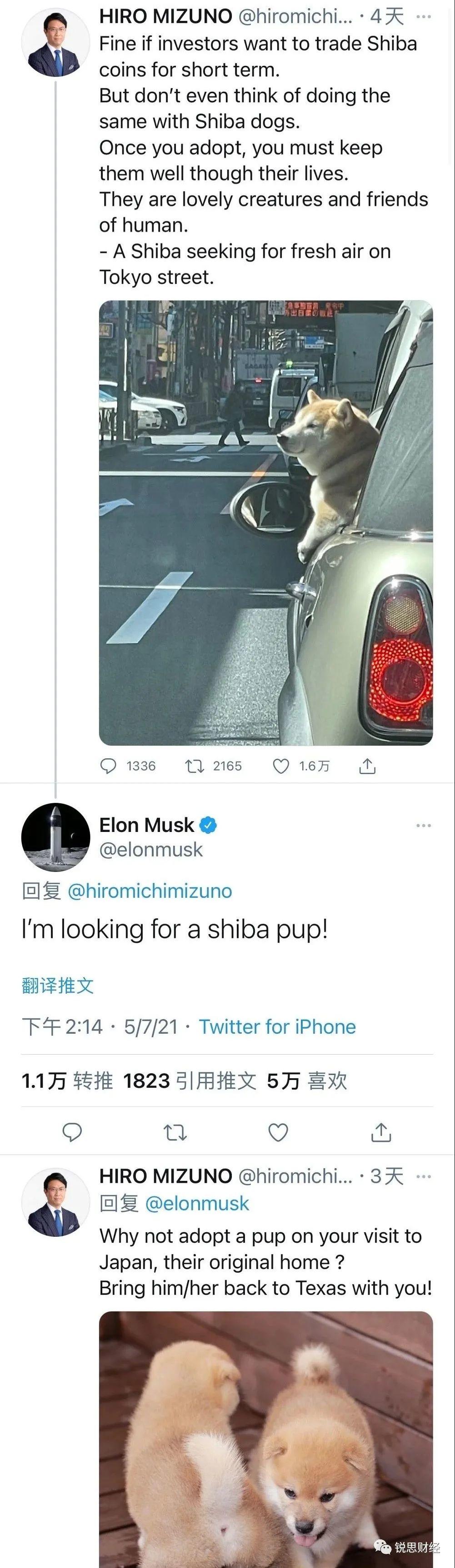 SpaceX携“狗币”登陆月球，狗屎市场一度难以止步1