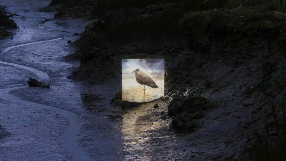 论坛预告 | 21 世纪下一个伟大的艺术家来自计算机算法？7