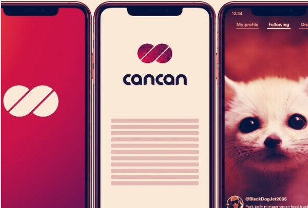 主网终于上线了，一文读懂DFINITY生态发展12