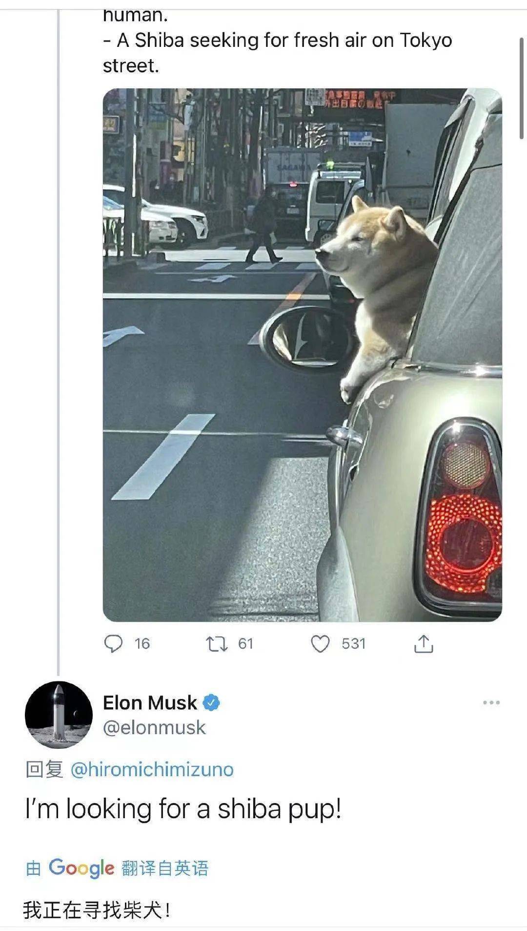 狗币之后，柴狗币又红了！一个月涨100倍，有人3000元赚了60万？1