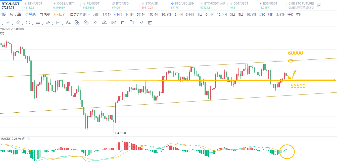 币圈陈凌云-比特币回暖上行，主流币阻断币圈动物园2