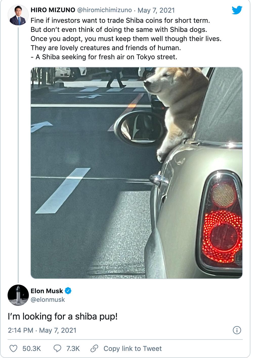 硬币圈“疯狂动物城”的启示7