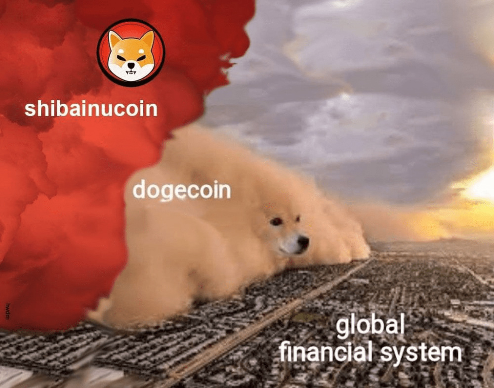 什叶派感染狂犬病：是老百姓的胜利还是老百姓的胜利？9