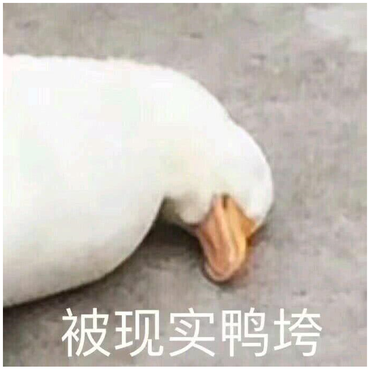 进攻的天赋,对未来的狂野希望 进攻的天赋,对未来的狂野希望