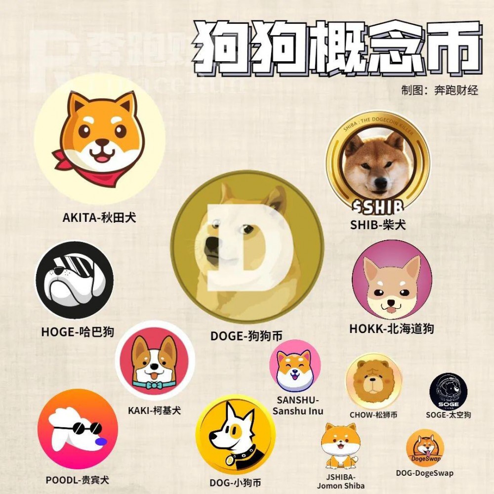 离开投币圈的人被一条狗打败了1