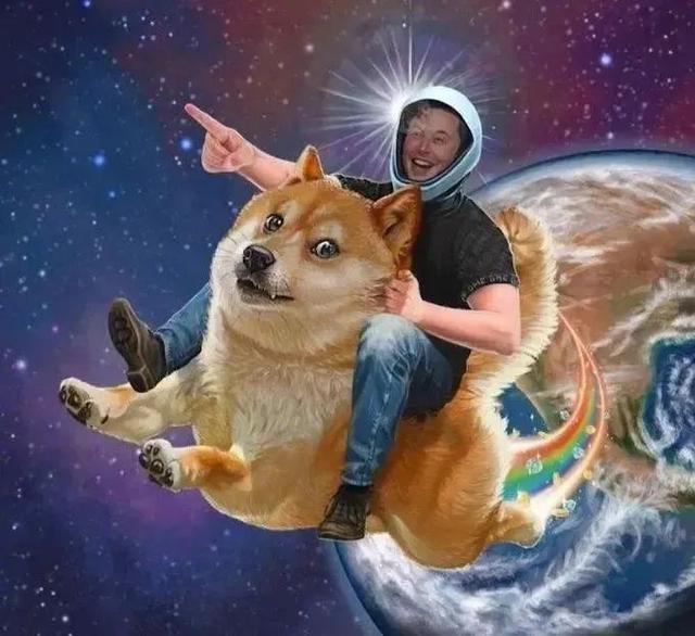 华尔街新闻：马斯克呼吁权力背后的“真实意图”2