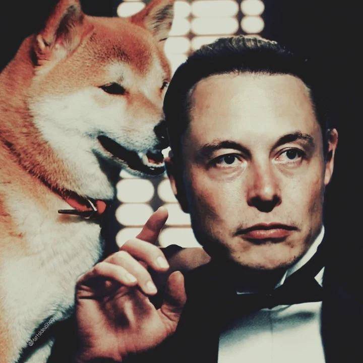 埃隆·马斯克的币圈大战：从“比特币传教士”到“产业公敌”2