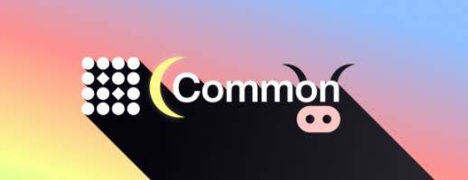 快速查看公共协议，一个由edgeware开发团队孵化的治理和众筹聚合器