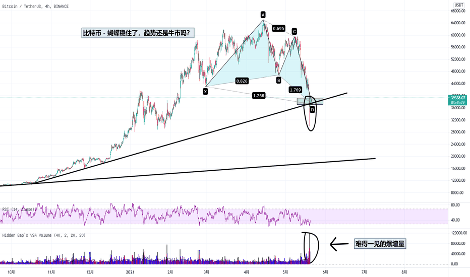 比特币 – 蝴蝶形态稳住了，趋势还是牛市吗？