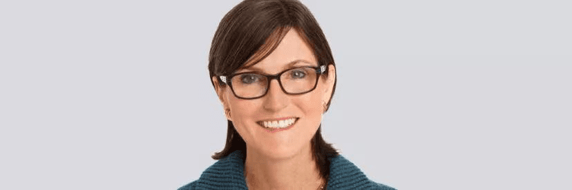 女股神方舟能否逆势造币，再现“特斯拉奇迹”？2