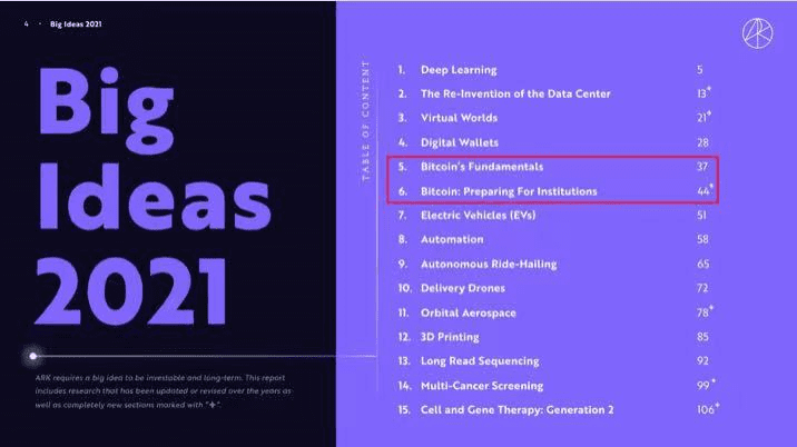 女股神方舟能否逆势造币，再现“特斯拉奇迹”？4