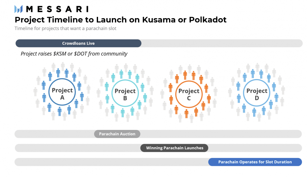解读波尔卡多特与草间弥生的生态进步3