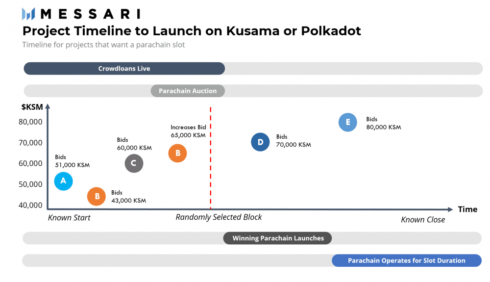 解读波尔卡多特与草间弥生的生态进步4
