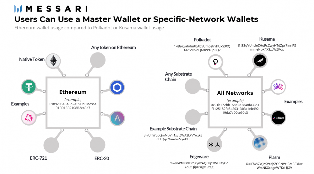 解读波尔卡多特与草间弥生的生态进步7