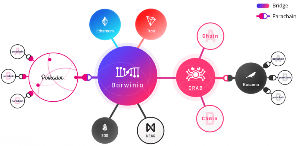 解读波尔卡多特与草间弥生的生态进步12