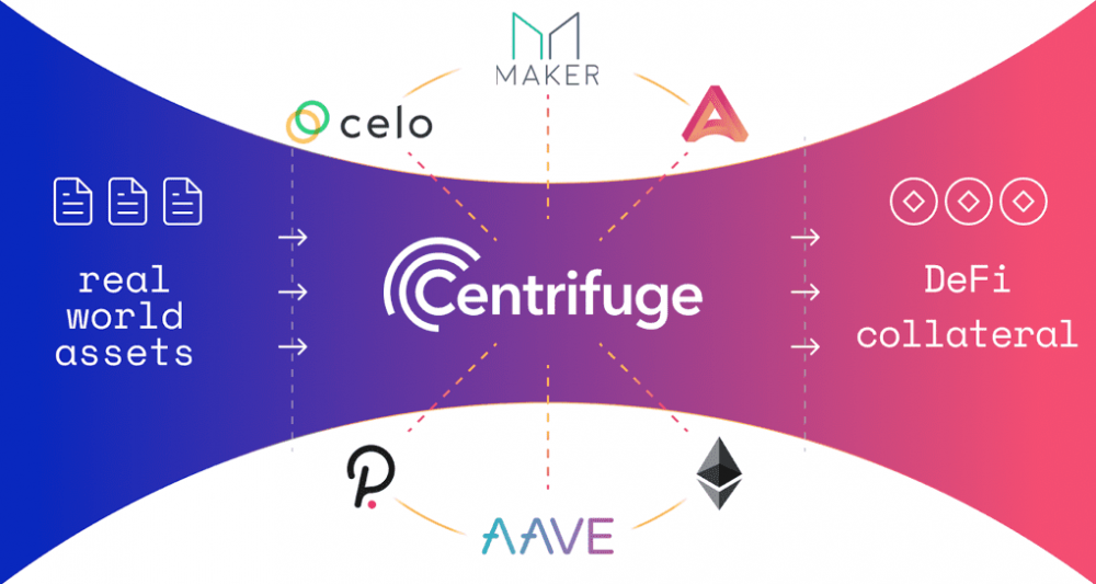 解读波尔卡多特与草间弥生的生态进步13