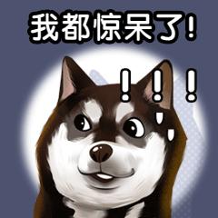 我能把买的钱处理掉吗？未来是否会出现牛市？5