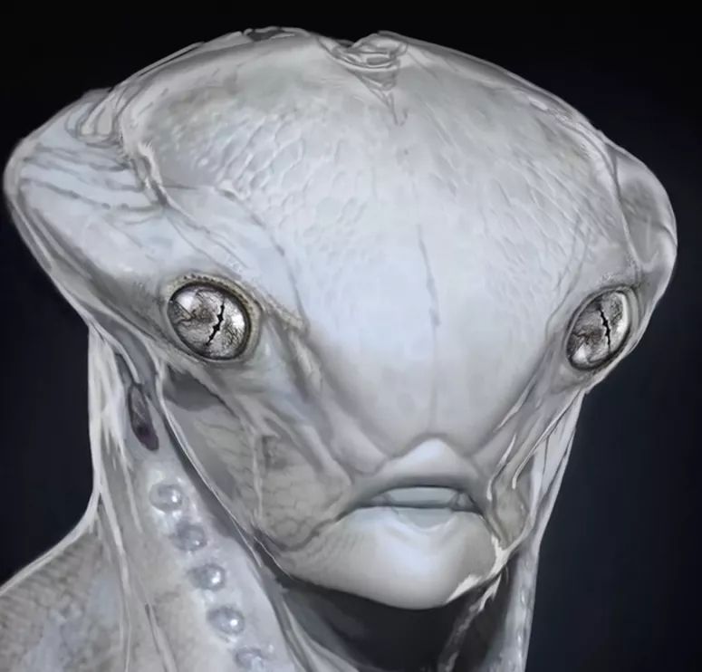 想象一下2031年加密货币的世界2