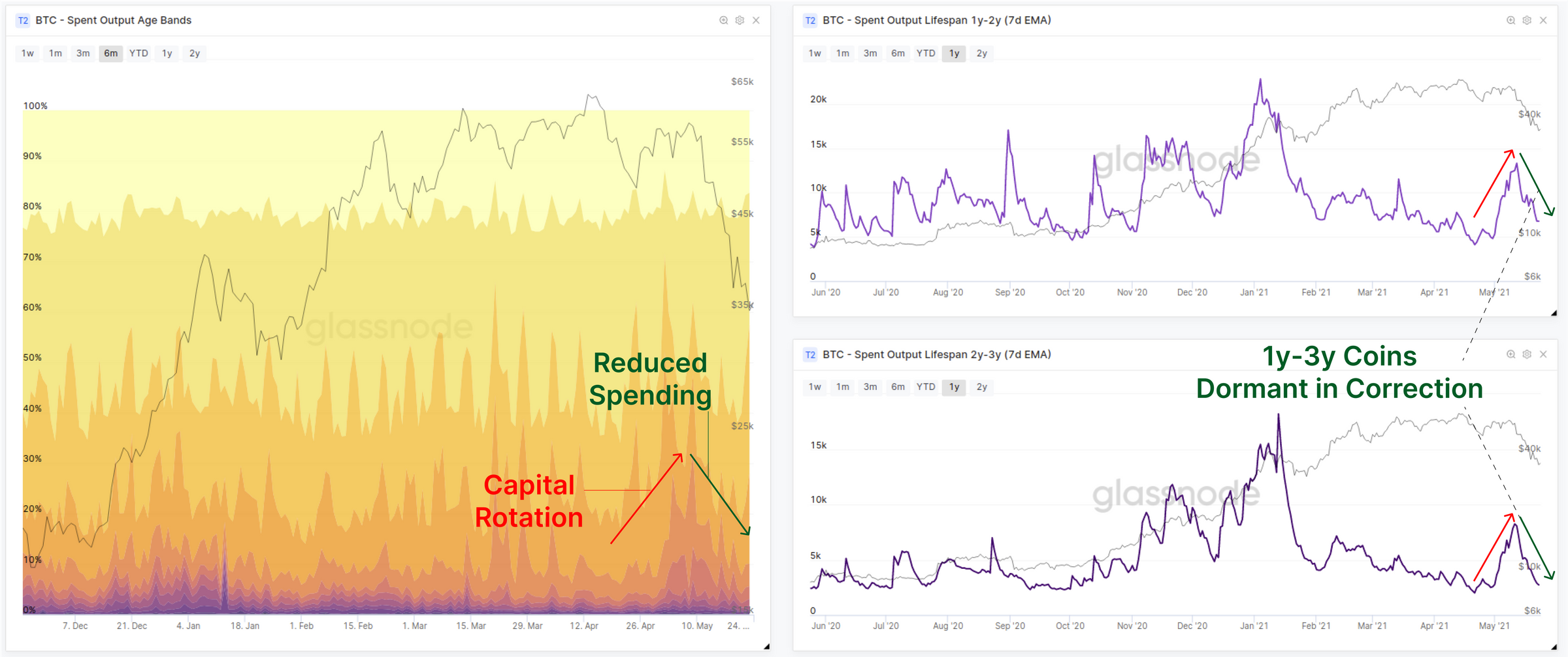 链上数据详解丨一周跌幅近50%，比特币Hodler们在干嘛？7