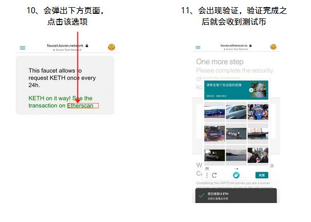 一篇文章带你去玩玩生态13