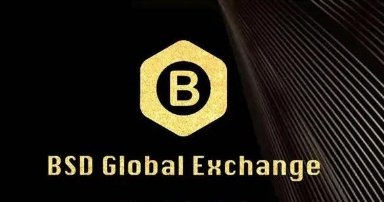 有消息称,“仓位管理”尚未收回资金,BSD交易所又来以交易量骗人 有消息称,“仓位管理”尚未收回资金,BSD交易所又来以交易量骗人