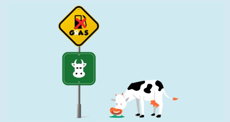 Cowswap引入了需求匹配Cow模式,以避免MeV,减少交易摩擦1 Cowswap引入了需求匹配Cow模式,以避免MeV,减少交易摩擦1