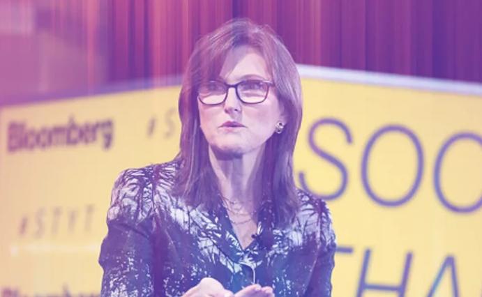 凯茜伍德,方舟的创始人:非常感兴趣的稳定货币,定义和NFT 凯茜伍德,方舟的创始人:非常感兴趣的稳定货币,定义和NFT