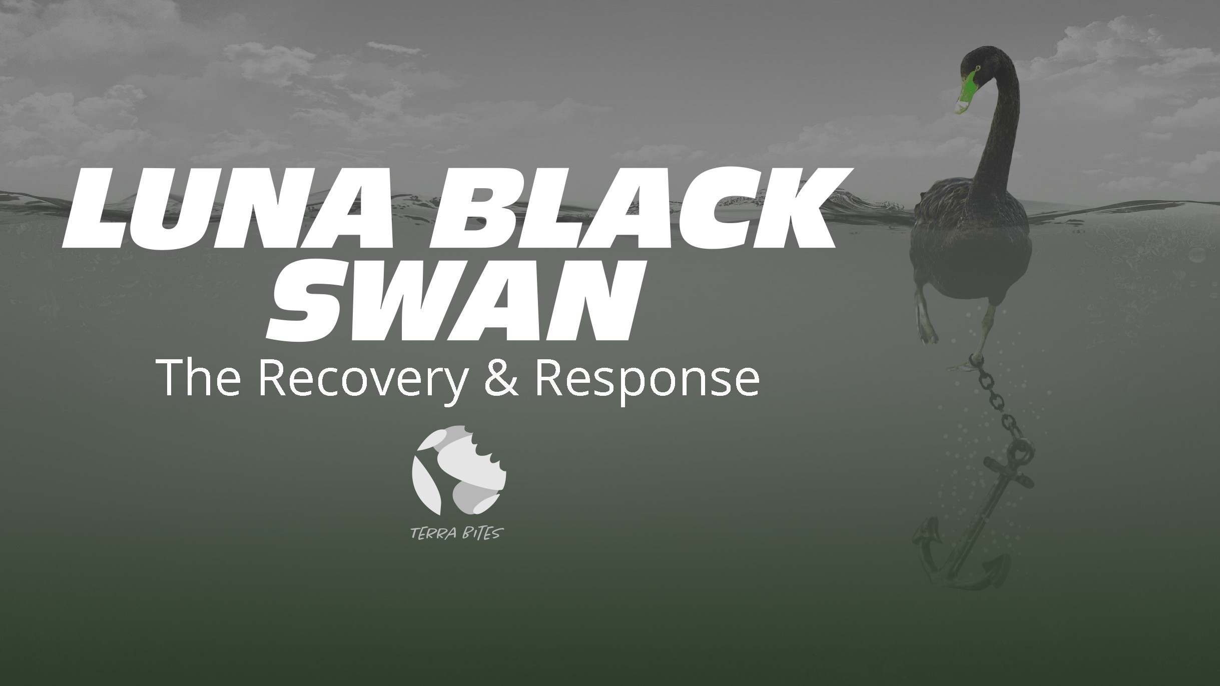 LUNA 黑天鹅事件：Terra CEO关于项目应急方案的社区AMA