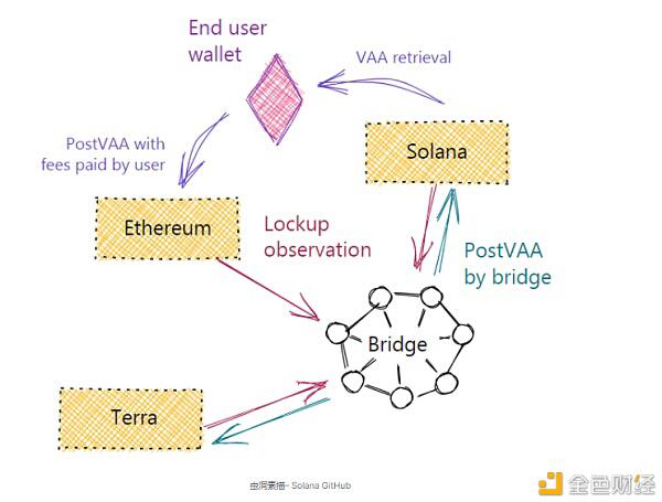 茄属生态学全景探索10