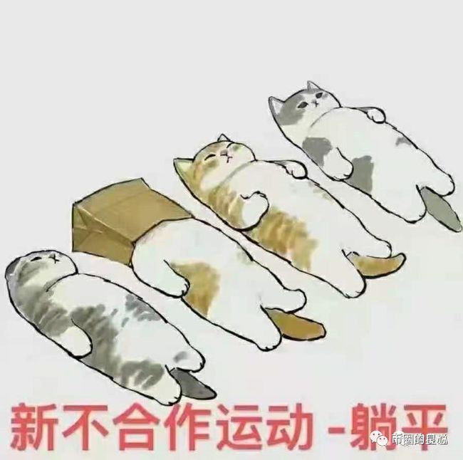 如果你在正确的路上，躺平就好了！3