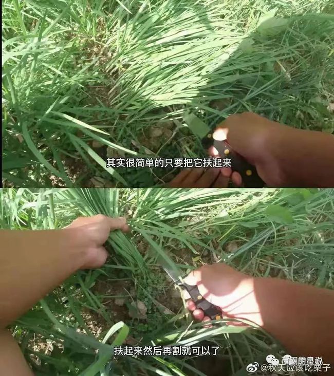如果你走对了路,就平躺吧!7 如果你走对了路,就平躺吧!7