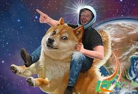 阿帆说币：狗狗币涨到月球上去了！BTC/ETH却萎靡不振