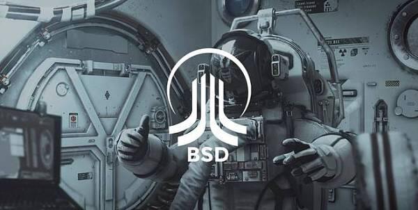 defi热潮下潜力十足的BSD1