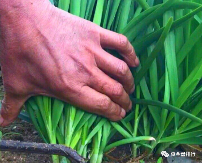 谈谈币圈私募之乱象，百倍接盘BZZ等项目的散户，不知道你是家里有矿吗？？2