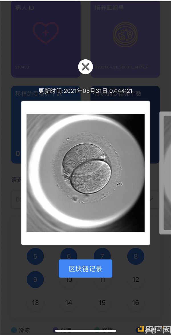 用区块链技术进行胚胎可视化 仁济医院为国内首家1