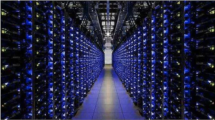 “蒜力”被偷了！你觉得法律怎么样？