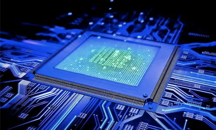 “蒜力”被偷了！你觉得法律怎么样？1