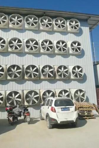 采矿有多疯狂？21万台采矿机，每天6300万台2