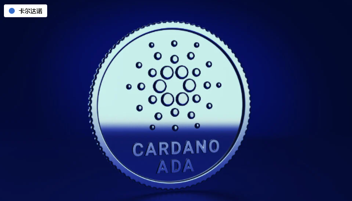 艾达在上升。我们为什么要选择它?2 艾达在上升。我们为什么要选择它?2